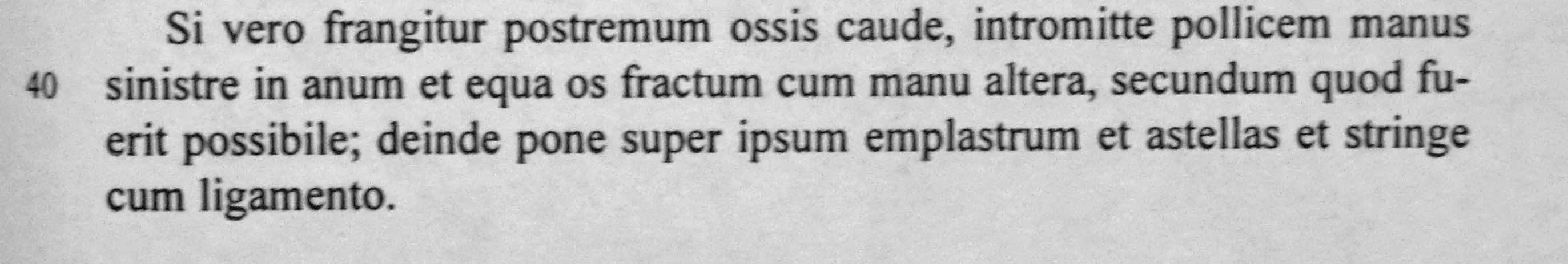 Latin text